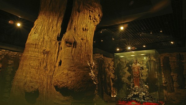 乌木文化博览院